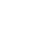 Evolution games at Wild Sultan Casino